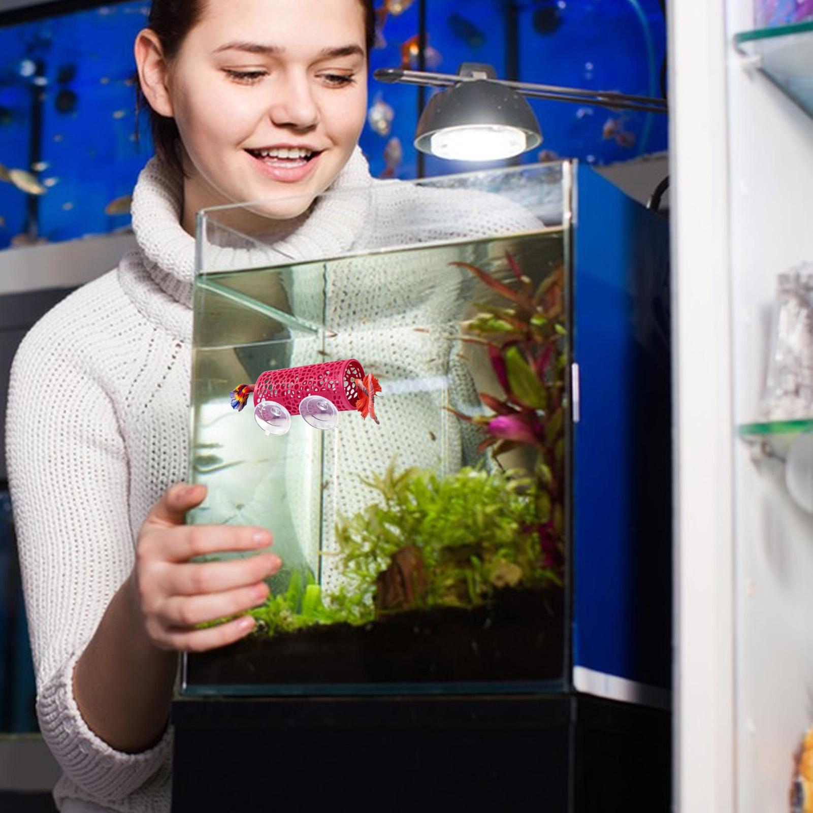 Aquarium Fish Betta - 베타 생태 환경 휴식처 장식품 물고기
