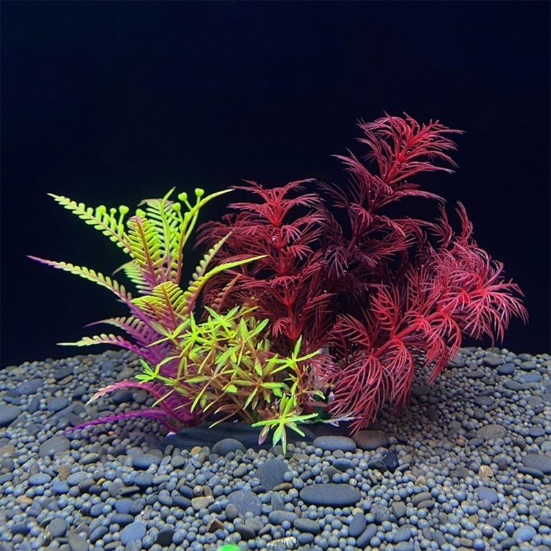 Aquarium Fish For Sale - 인공 수족관 장식 식물 물고기 장식