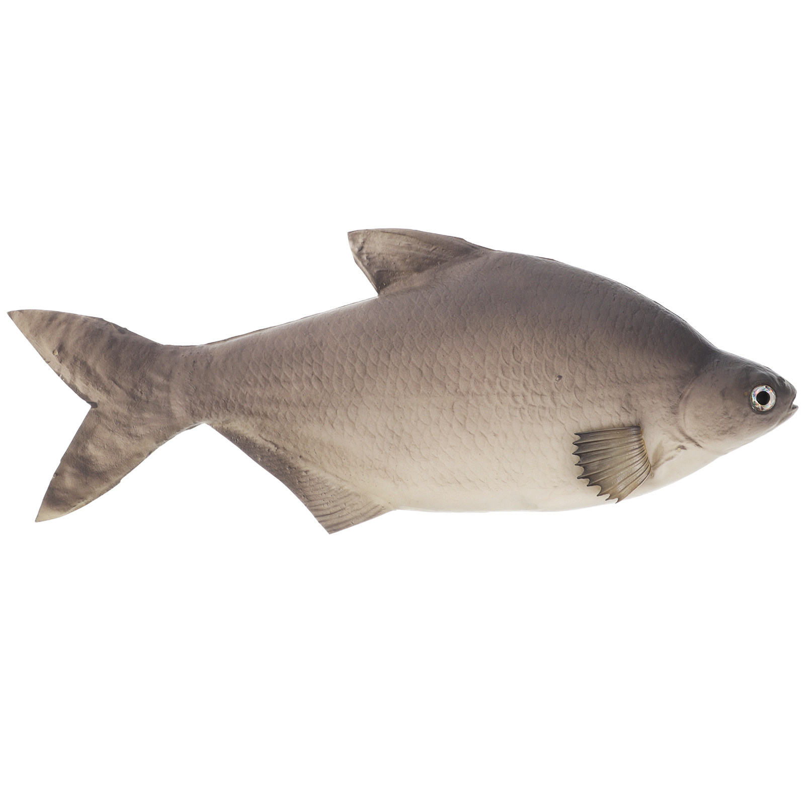 Aquarium Fish Market - 상세한 PU 시뮬레이션 물고기 인공 실물