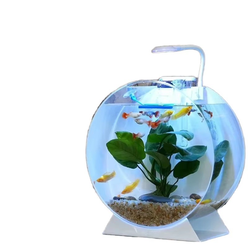 Aquarium Fish For Sale - 핫 세일 모던 친환경 아크릴 어항