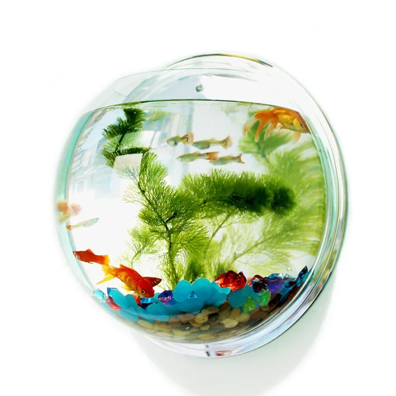 Aquarium Fish Betta - Pinsjar 아크릴 어항 벽걸이 수족관 탱크,