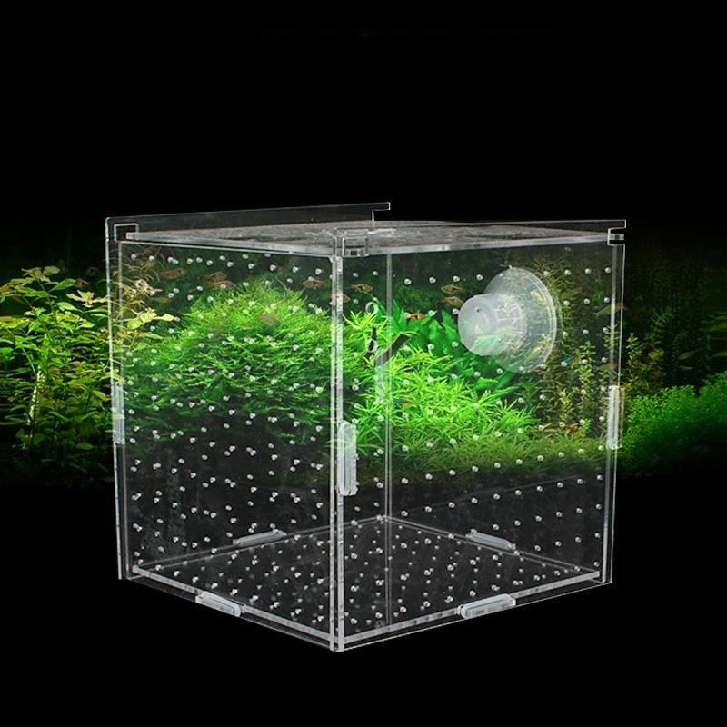 Aquarium Fish Net Small - 아크릴 격리 상자 물고기 탱크 투명