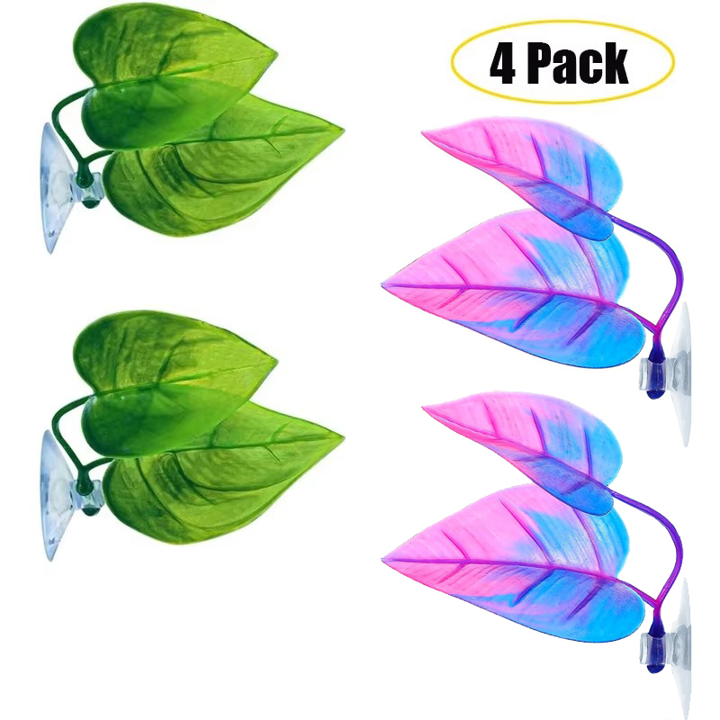 Aquarium Fish Betta - 베타 물고기 잎 해먹은 베타 산란