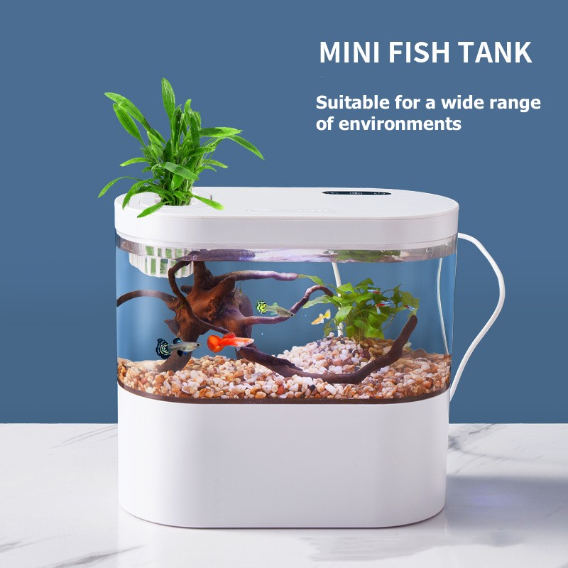 Live Fish Aquarium - 미니 데스크탑 수족관 생화학 여과 시스템과