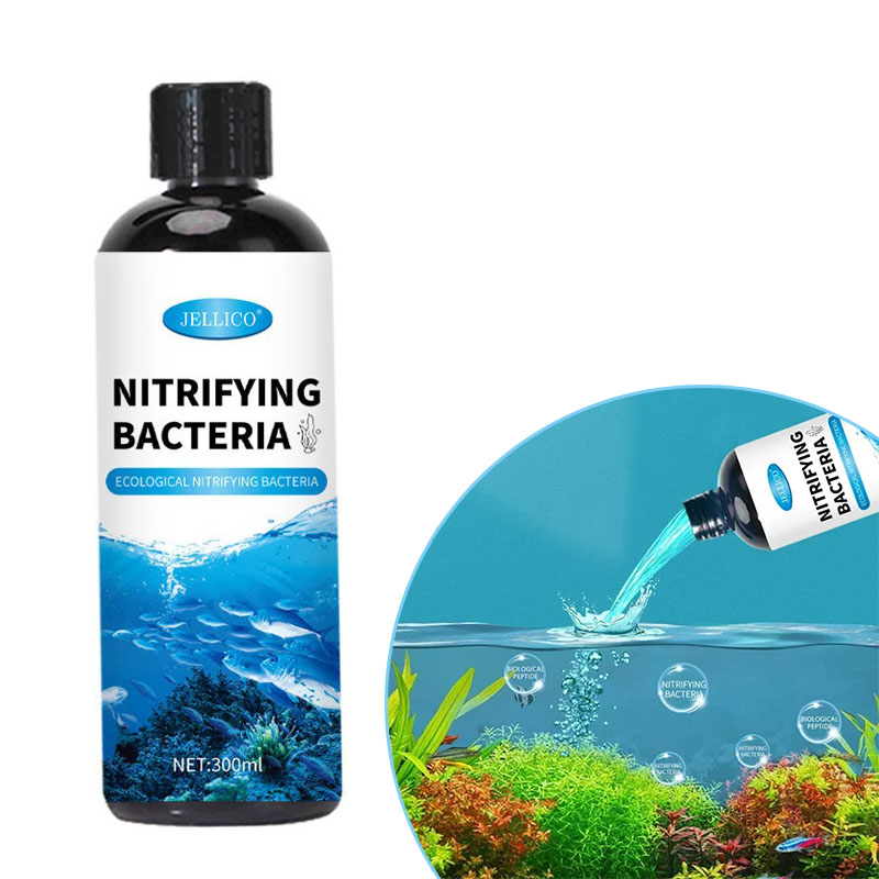 Aquarium Fish Medicine - 질화 박테리아 액체 물고기 탱크 정수기