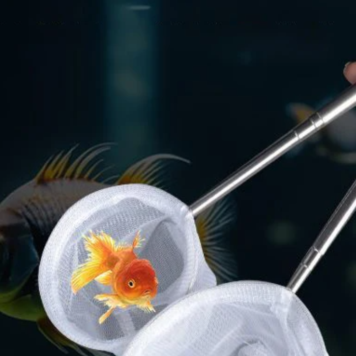Aquarium Fish Net Small - 수족관 물고기 낚시 그물 스테인리스 스틸