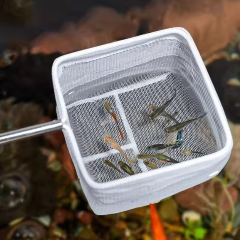 수족관 청소 도구 수족관 어망 작은 물고기 및 새우 어 - Aquarium Fish Net Small 리뷰 및 가격