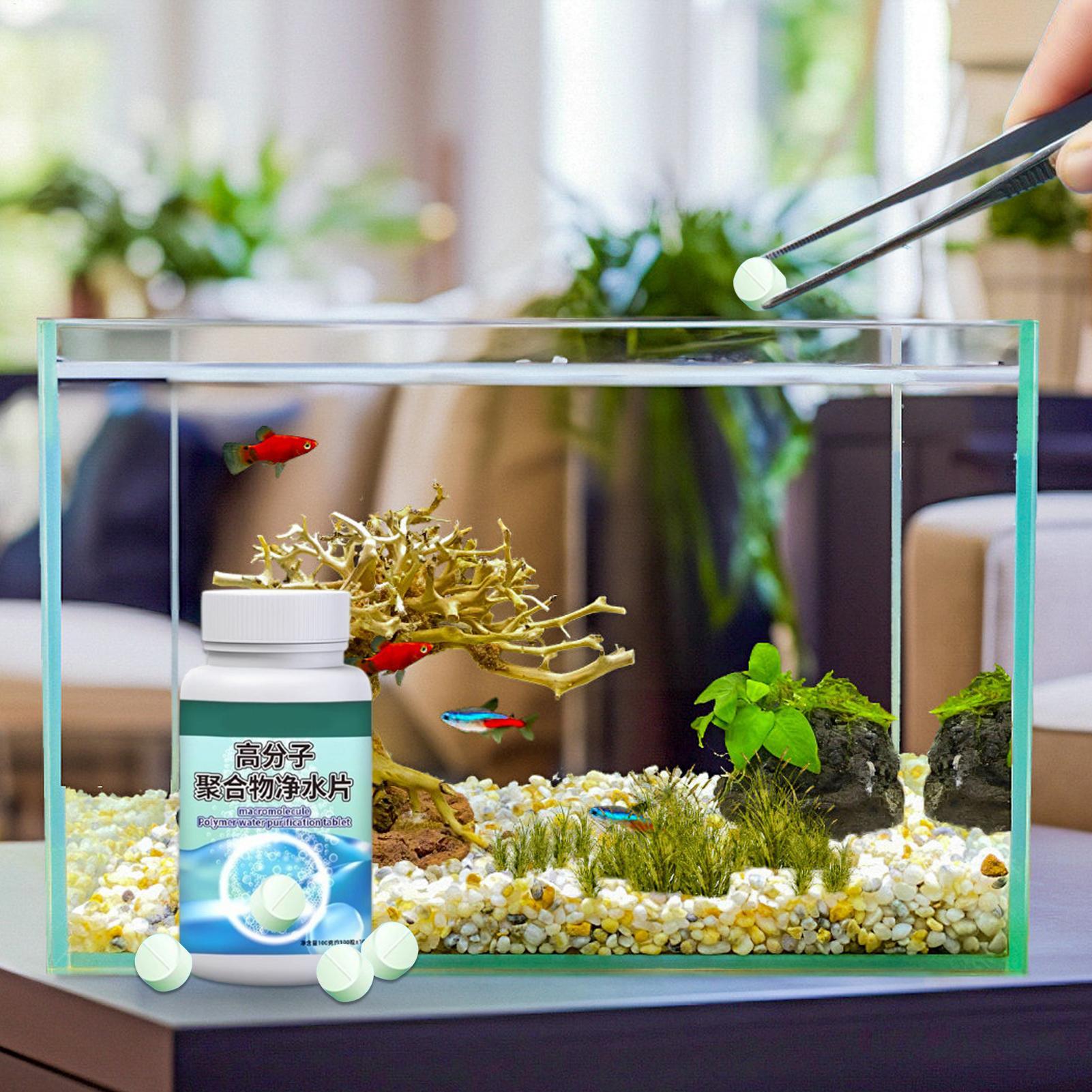 어항 물 정화제 알개 제거제 타블렛, 분수, 베타, 새 - Aquarium Fish Medicine 리뷰 및 가격