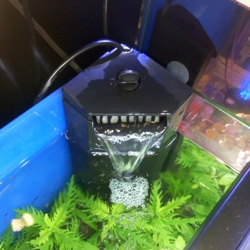 거북이 탱크용 내부 필터, 저수위 음소거 필터, 수족관 - Aquarium Fish For Beginners 리뷰 및 가격