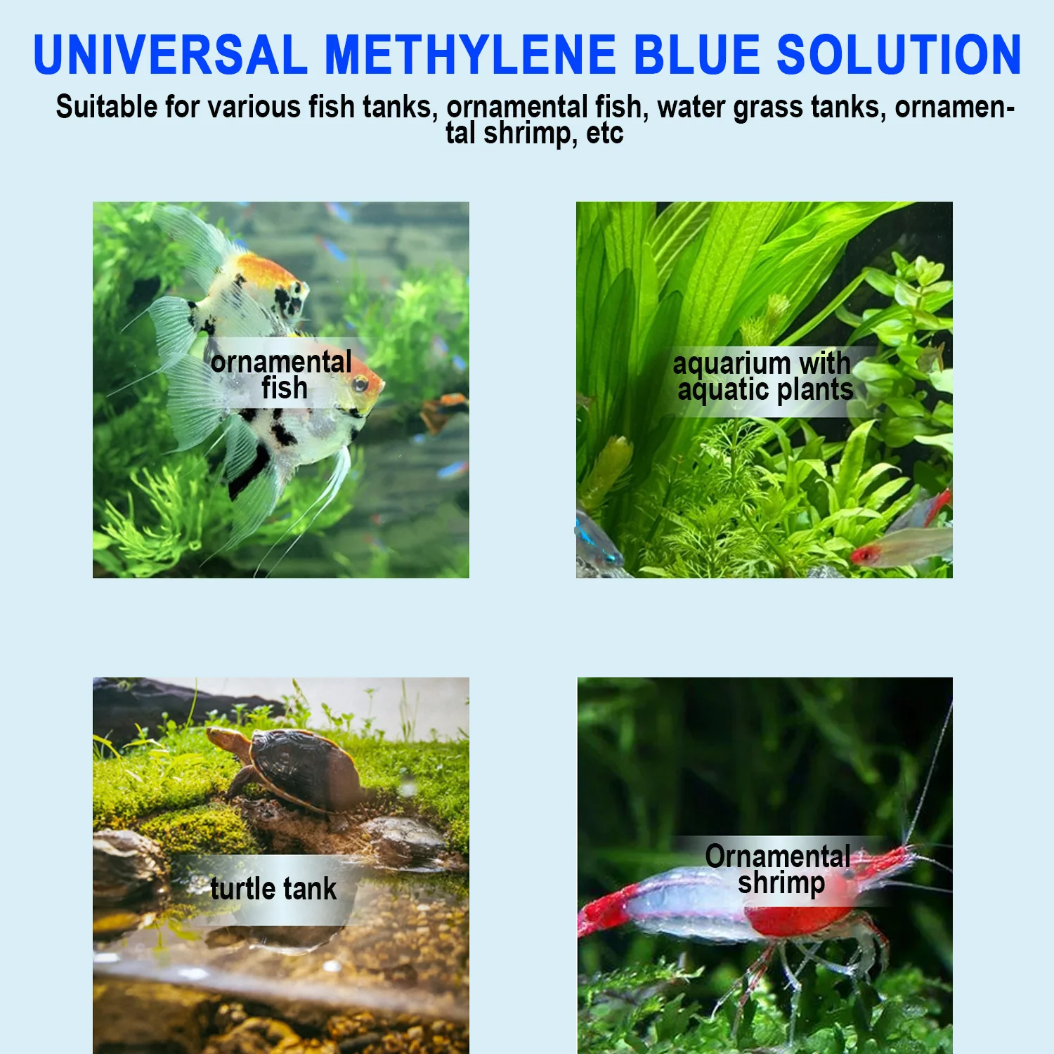 메틸렌 블루 수족관 물고기 치료제 (이치, 곰팡이, 지 - Aquarium Fish Medicine 리뷰 및 가격