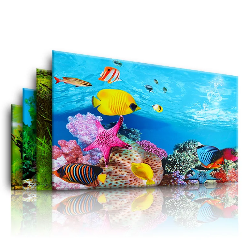 수족관을위한 배경 3d 스티커 포스터 물고기 탱크 수족 - Aquarium Fish Only 리뷰 및 가격