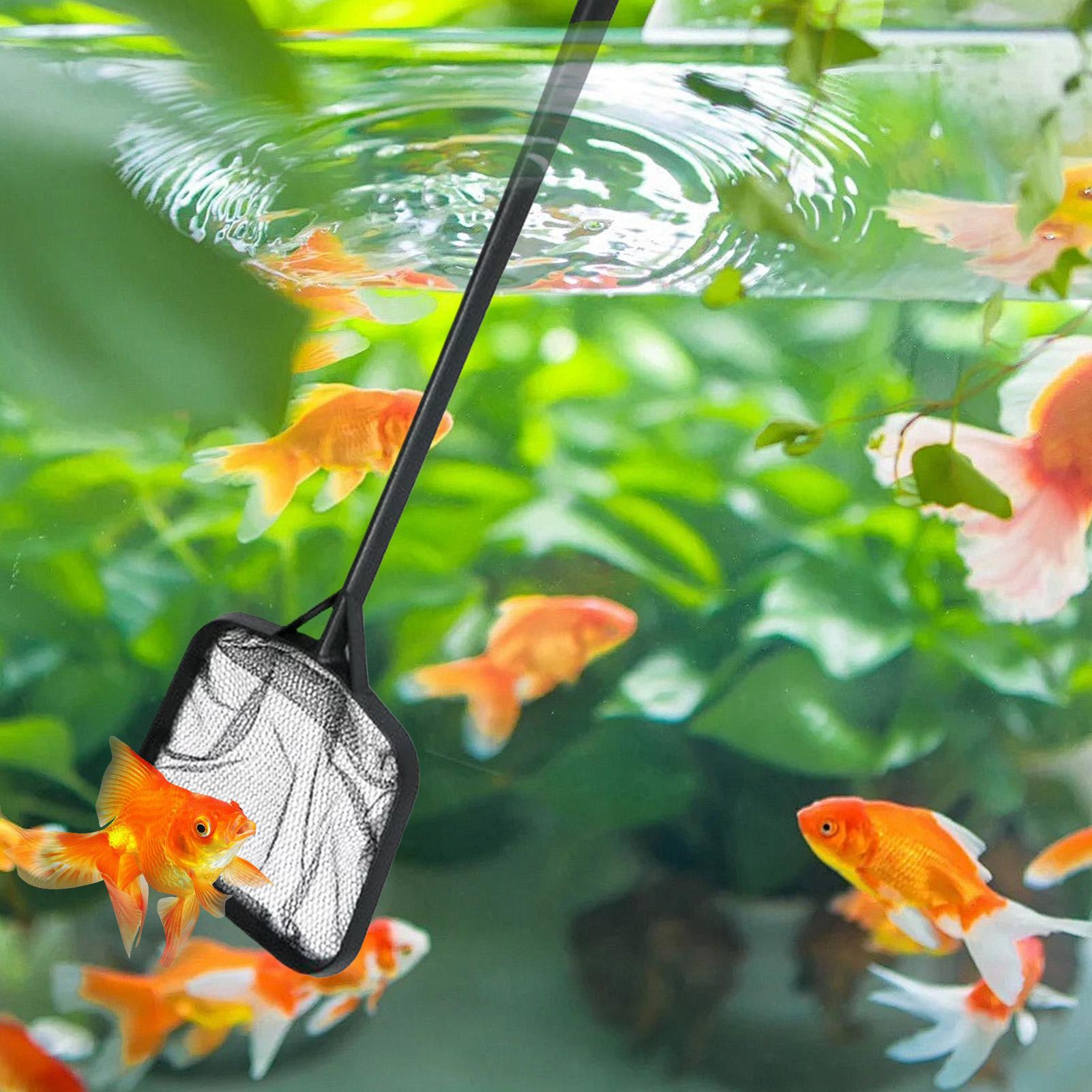 휴대용 수영장 청소용 그물망, 분수 청소용품, 수족관/ - Aquarium Fish Breeding 리뷰 및 가격