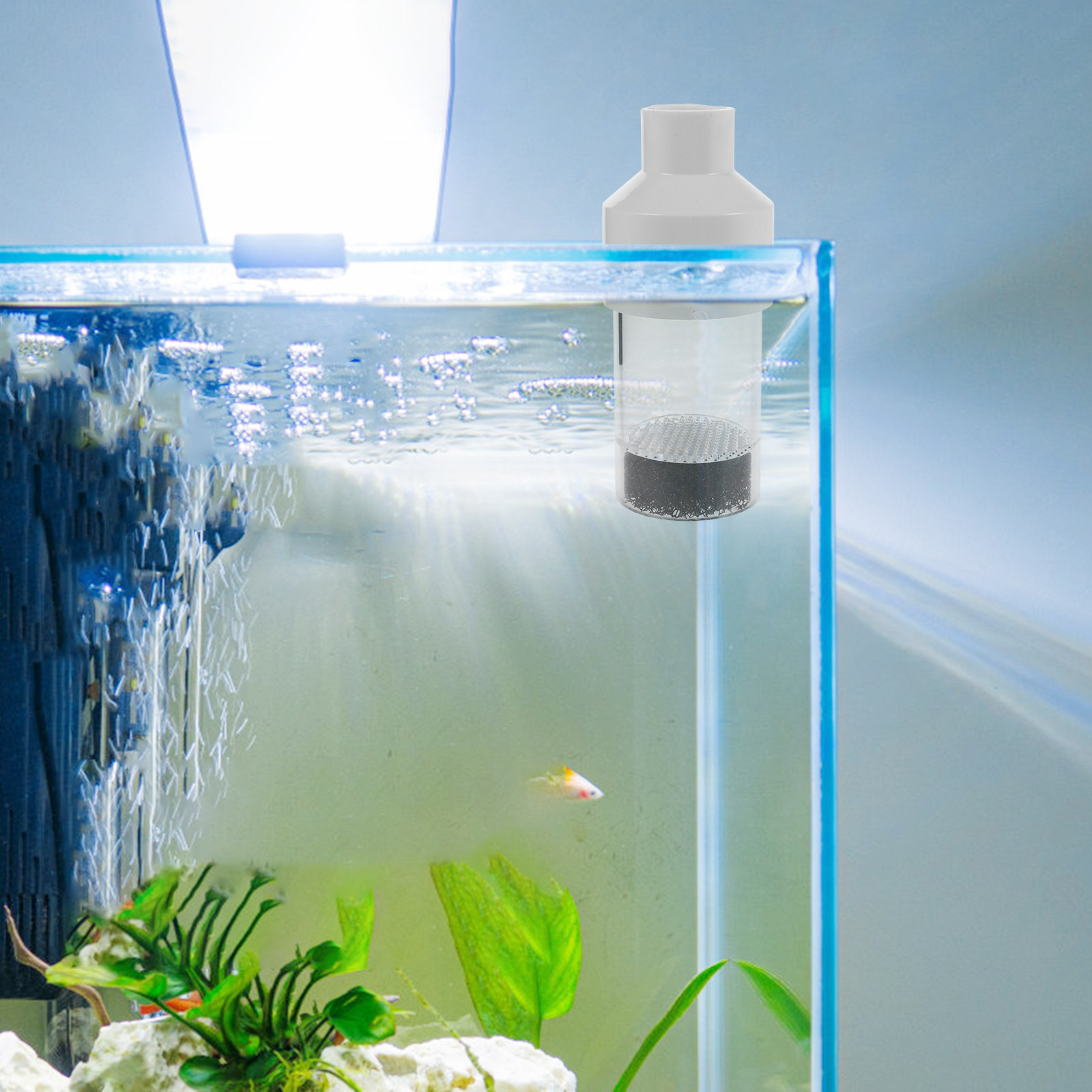 어류 부화기 인큐베이터 50mm 수족관 텀블러 번식 도 - Aquarium Fishes 리뷰 및 가격