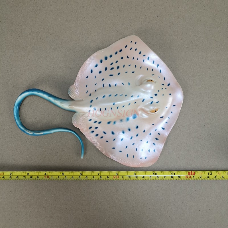 수족관 동물 모형 장난감 수중 세계 어항 어린이 세트  - Aquarium Fish Market 리뷰 및 가격
