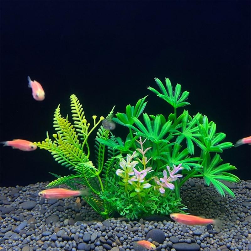 인공 수족관 장식 식물 물고기 장식 수족관 조경 시뮬레 - Aquarium Fish For Sale 리뷰 및 가격