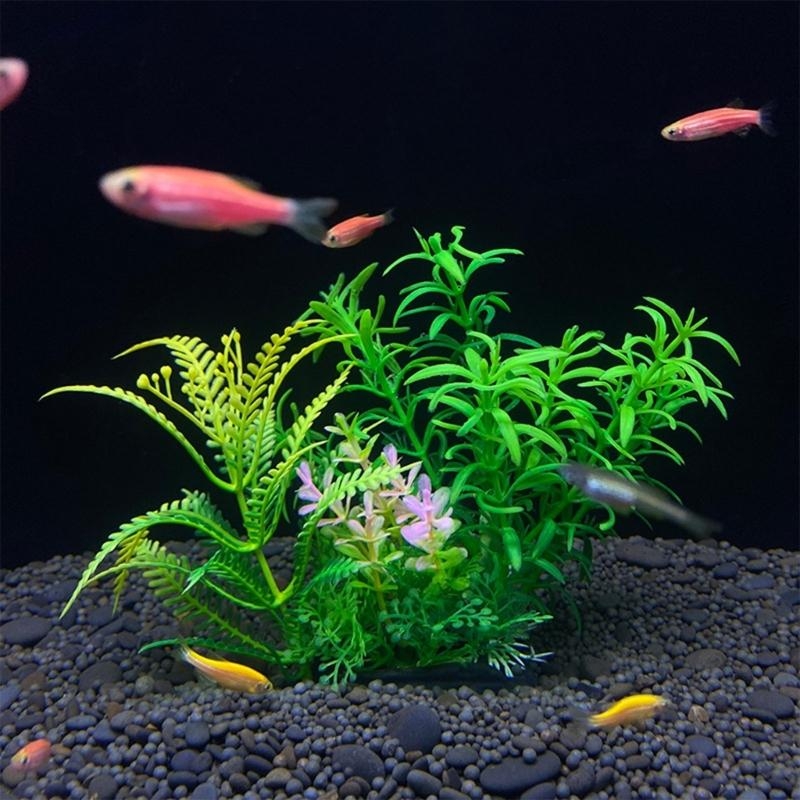 인공 수족관 장식 식물 물고기 장식 수족관 조경 시뮬레 - Aquarium Fish For Sale 리뷰 및 가격