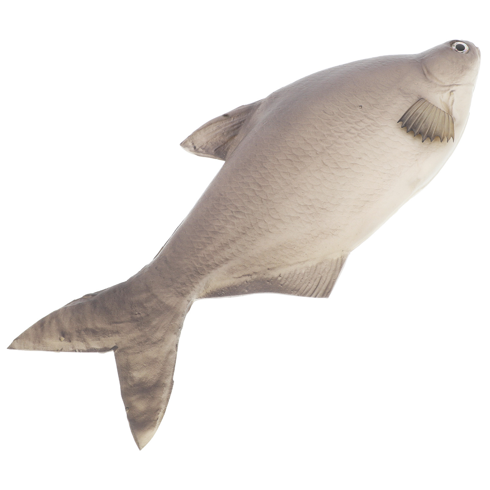 상세한 PU 시뮬레이션 물고기 인공 실물 장식품 (수족 - Aquarium Fish Market 리뷰 및 가격