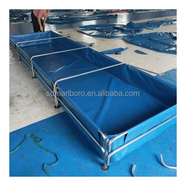 AIROW 맞춤형 상업용 고품질 활어 투명 야외 사각  - Aquarium Fish For Sale 리뷰 및 가격