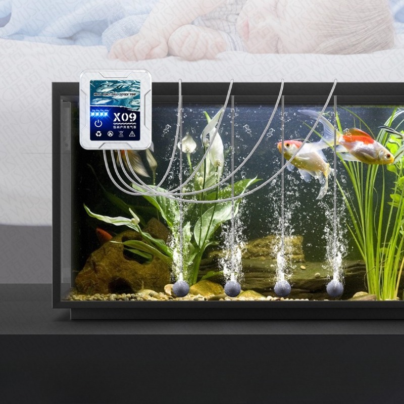 수족관 액세서리 전기 에어 펌프 가정용 사육 야외 낚시 - Aquarium Fish Market 리뷰 및 가격