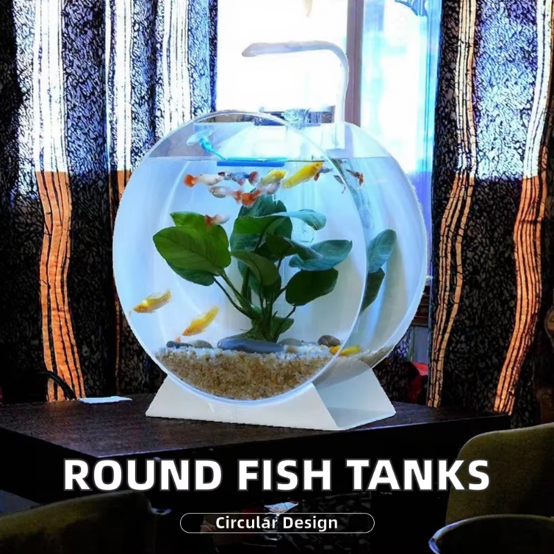핫 세일 모던 친환경 아크릴 어항 다양한 크기의 데스크 - Aquarium Fish For Sale 리뷰 및 가격