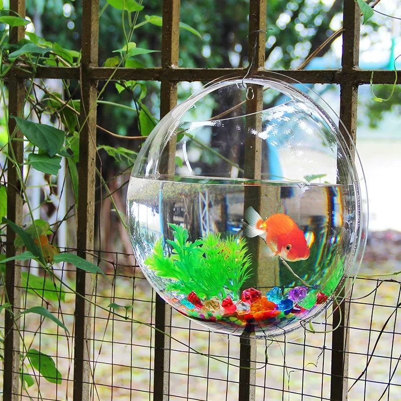 Pinsjar 아크릴 어항 벽걸이 수족관 탱크, 수생  - Aquarium Fish Betta 리뷰 및 가격