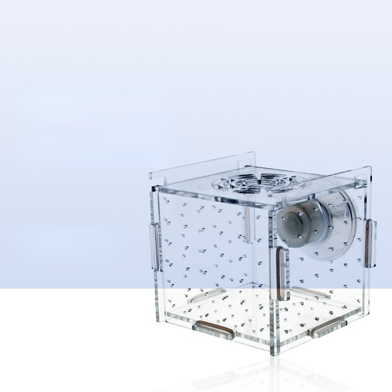 아크릴 격리 상자 물고기 탱크 투명 수족관 작은 튀김  - Aquarium Fish Net Small 리뷰 및 가격