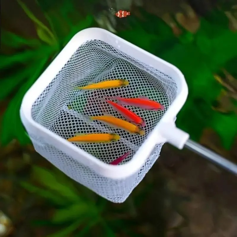 3D 수족관 소형 물고기 스쿠프 텔레스코픽 롱 핸들 낚 - Aquarium Fish Net Small 리뷰 및 가격