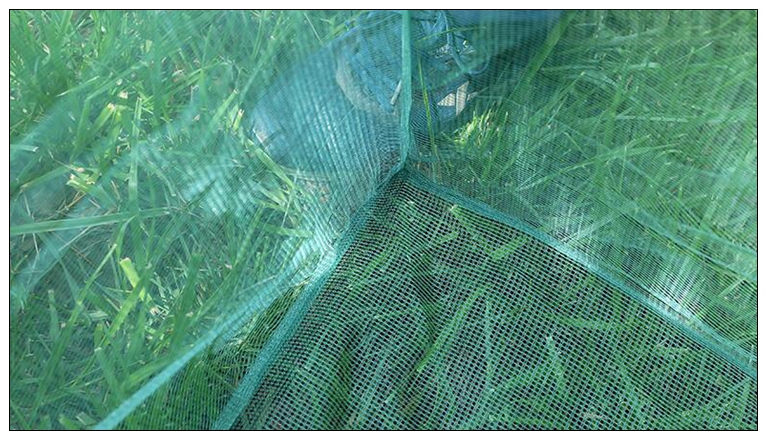 말뚝 작은 메쉬 캐치 물고기 상자, 3mm, 양식 연못 - Aquarium Fish Net Small 리뷰 및 가격