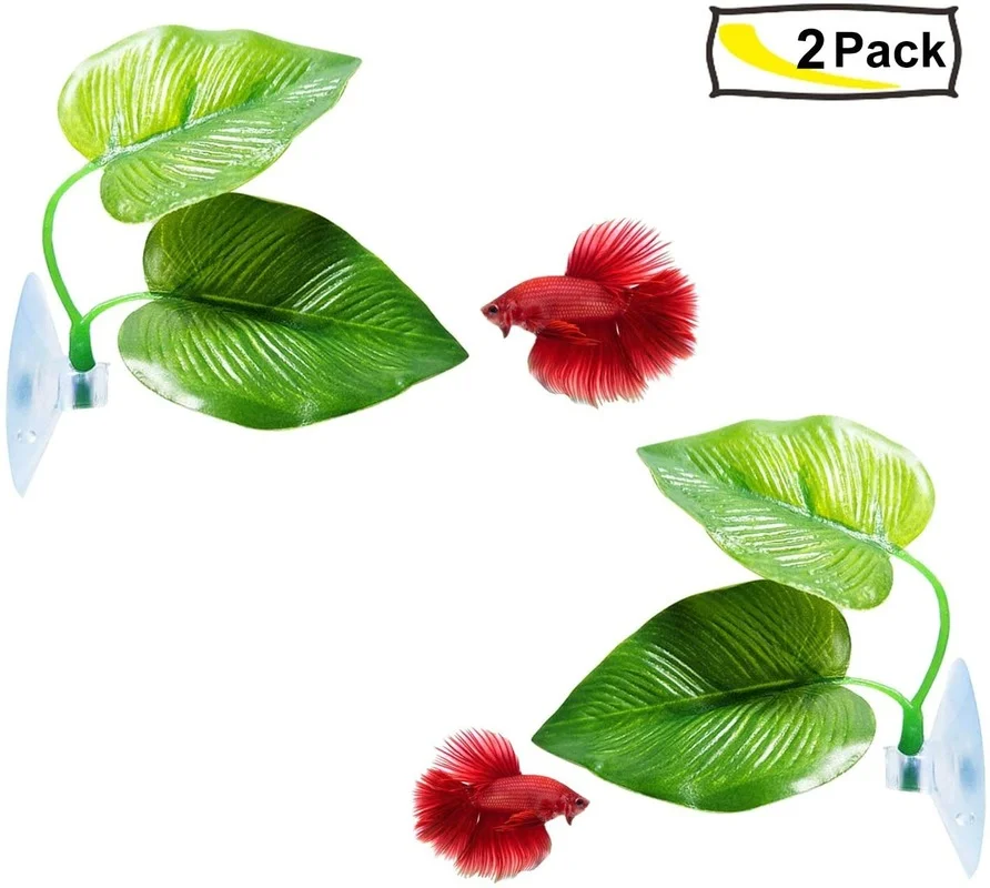 베타 물고기 잎 해먹은 베타 산란 사육 휴식 침대 수족 - Aquarium Fish Betta 리뷰 및 가격