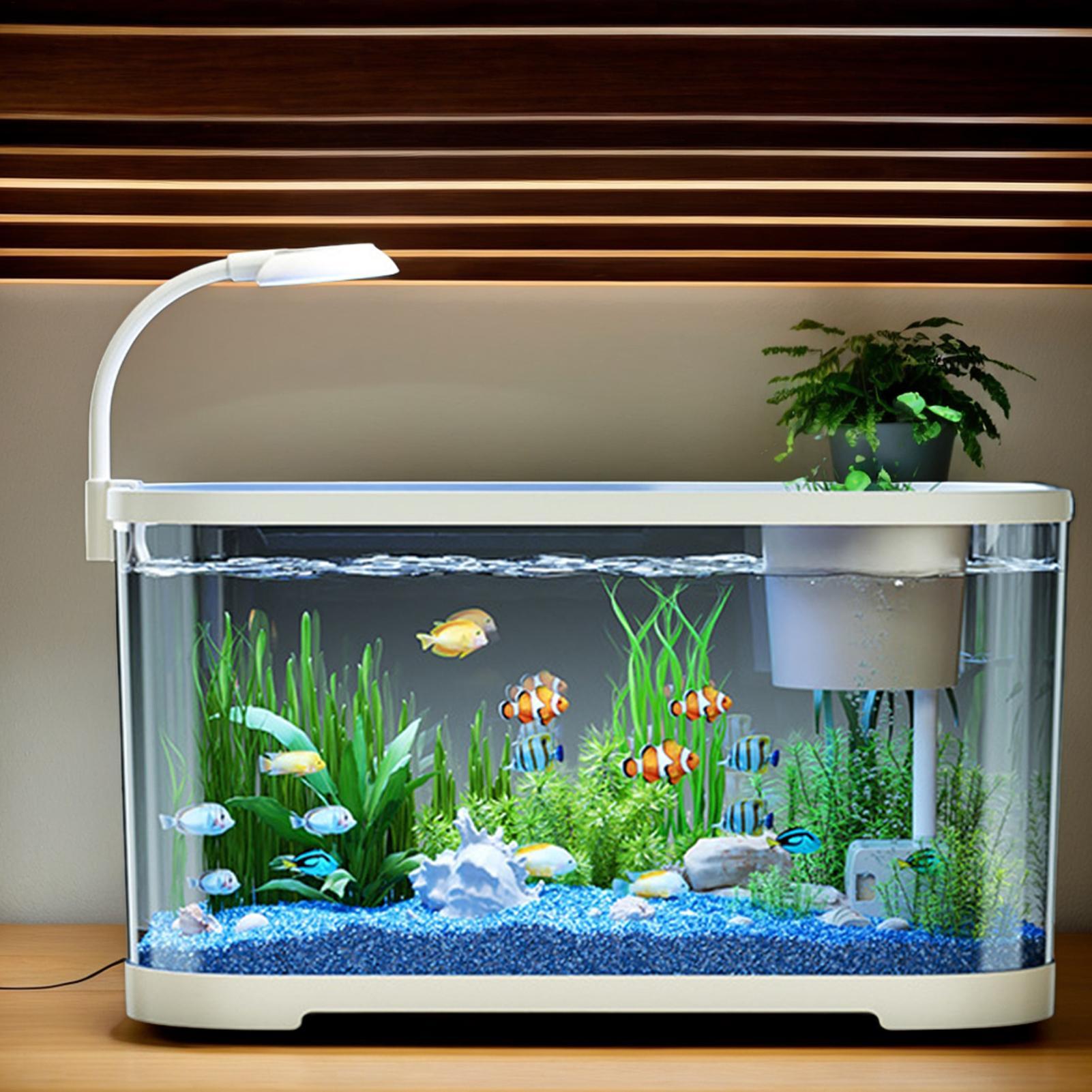 초보자를 위한 어항 키트 스타터 베타 물고기 수조, 거 - Aquarium Fish Betta 리뷰 및 가격