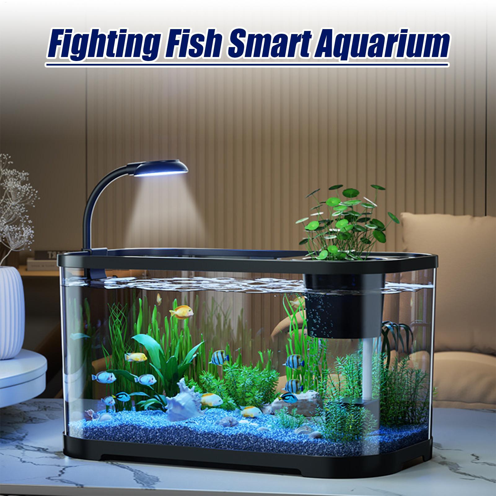 초보자를 위한 어항 키트 스타터 베타 물고기 수조, 거 - Aquarium Fish Betta 리뷰 및 가격