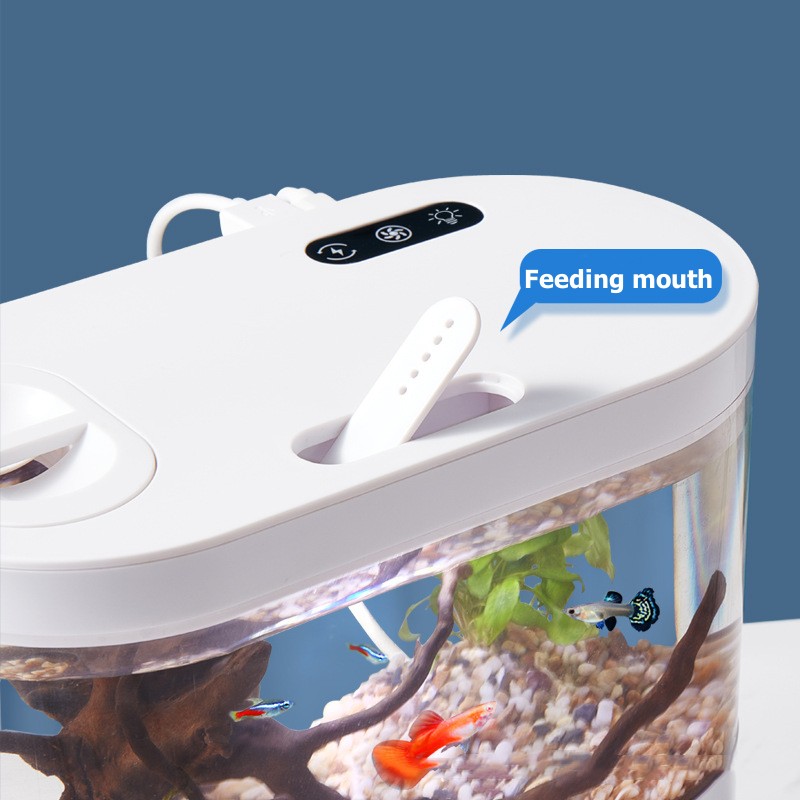 미니 데스크탑 수족관 생화학 여과 시스템과 LED 무교 - Live Fish Aquarium 리뷰 및 가격