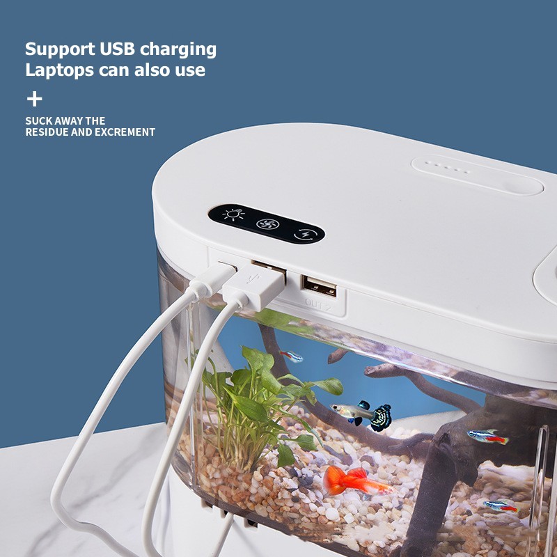 미니 데스크탑 수족관 생화학 여과 시스템과 LED 무교 - Live Fish Aquarium 리뷰 및 가격