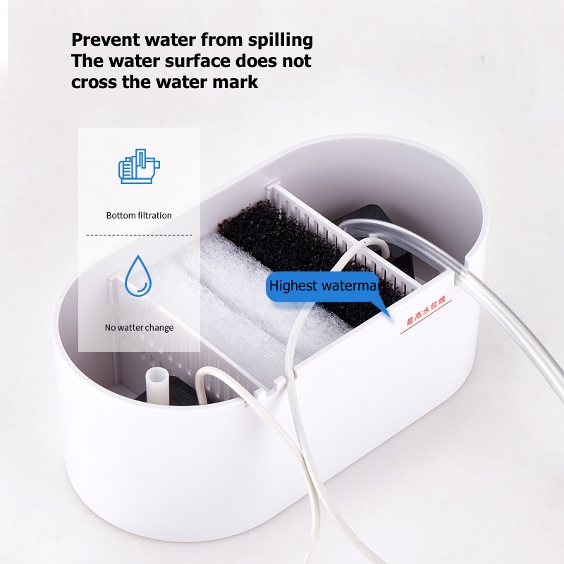 미니 데스크탑 수족관 생화학 여과 시스템과 LED 무교 - Live Fish Aquarium 리뷰 및 가격