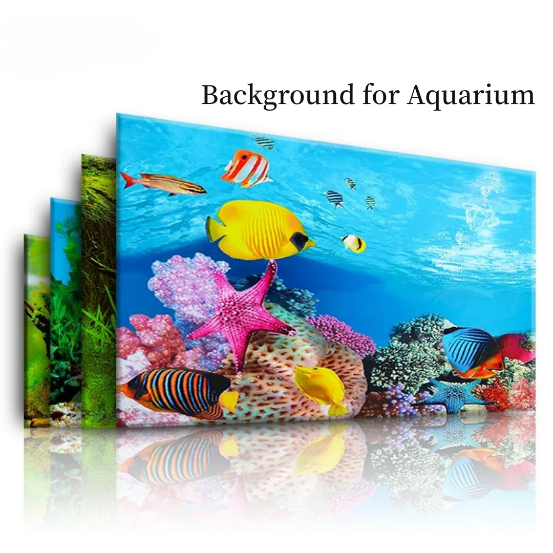 배경 수족관 3D 스티커 포스터 장식, 어항 해양 식물 - Aquarium Fish Only 리뷰 및 가격