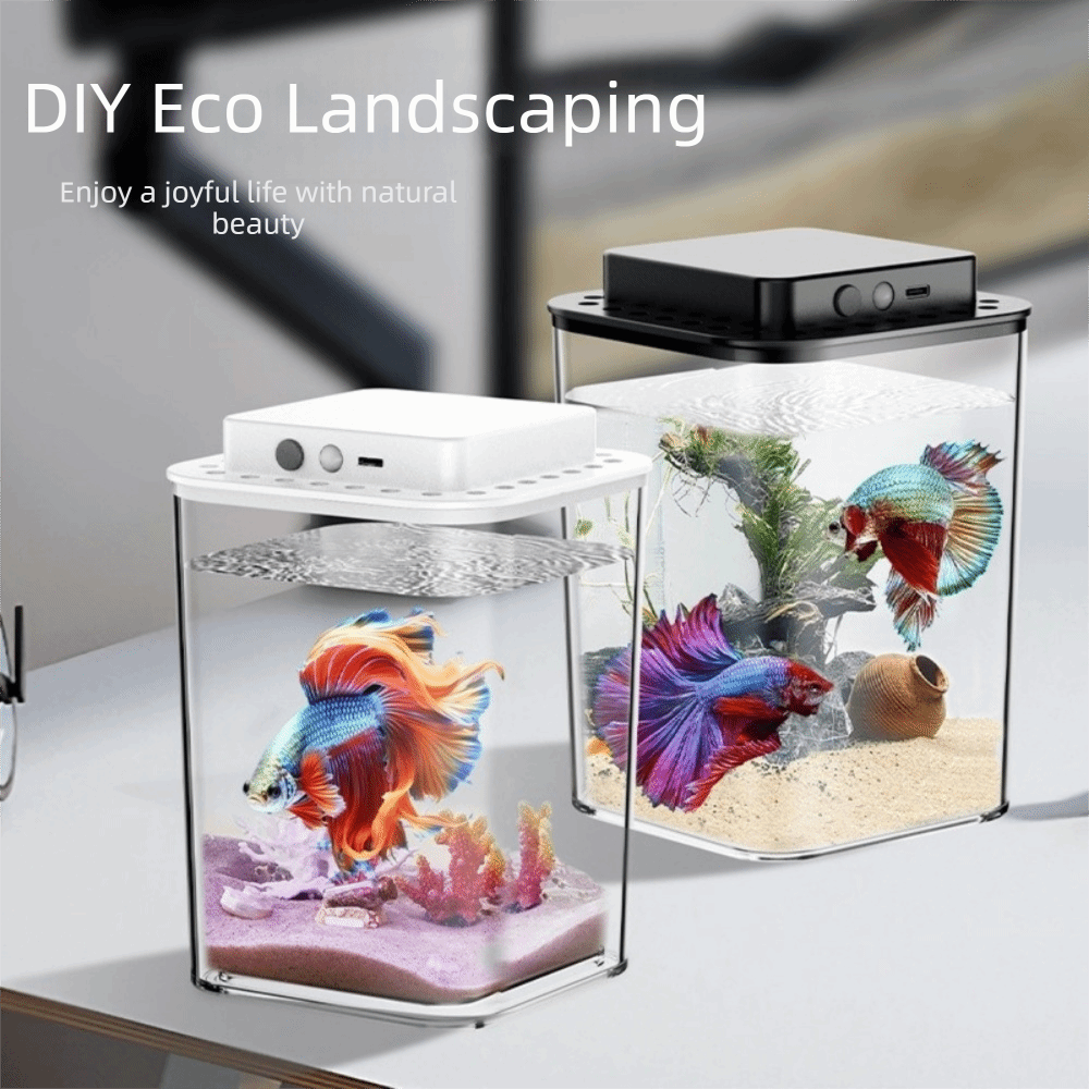 투명 베타 물고기 어항 지능형 감지 LED 조명 어류  - Aquarium Fish Betta 리뷰 및 가격