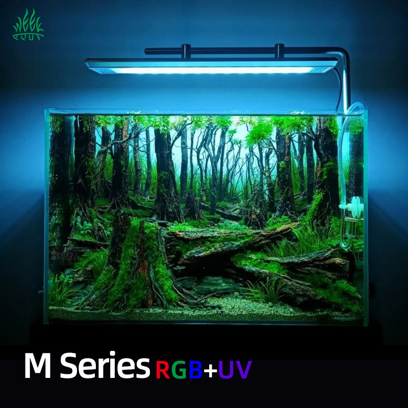 위카쿠아 M300/M400/M450 D1 PRO 특가  - Aquarium Fish For Sale 리뷰 및 가격