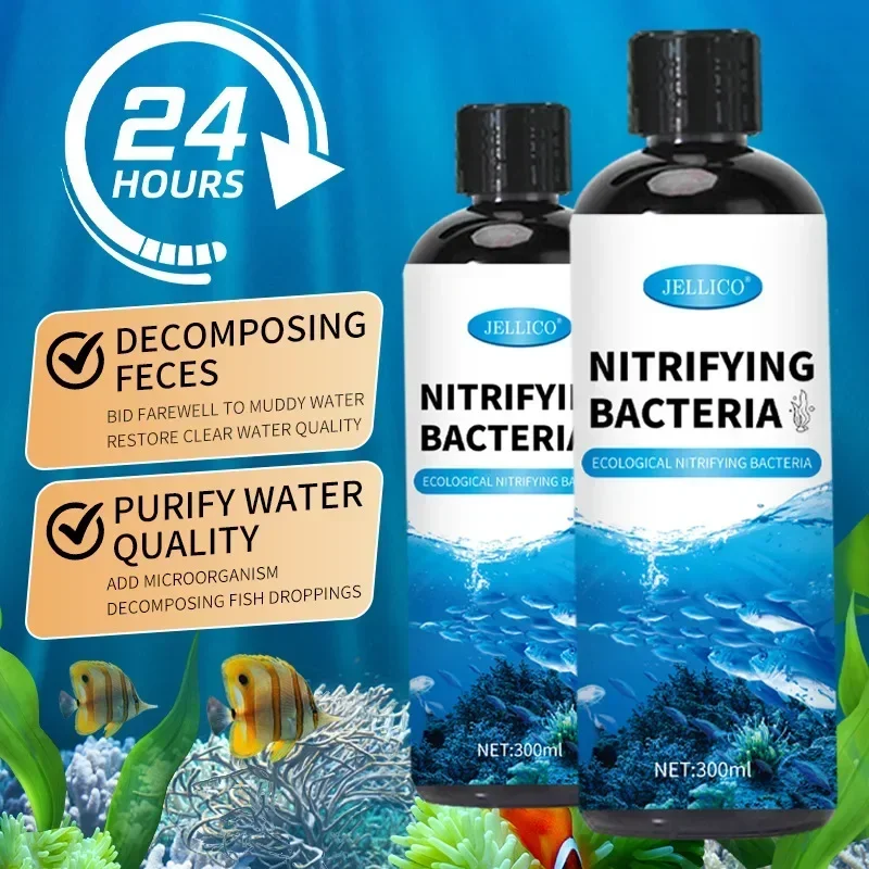 질화 박테리아 액체 물고기 탱크 정수기 수족관 물고기  - Aquarium Fish Medicine 리뷰 및 가격
