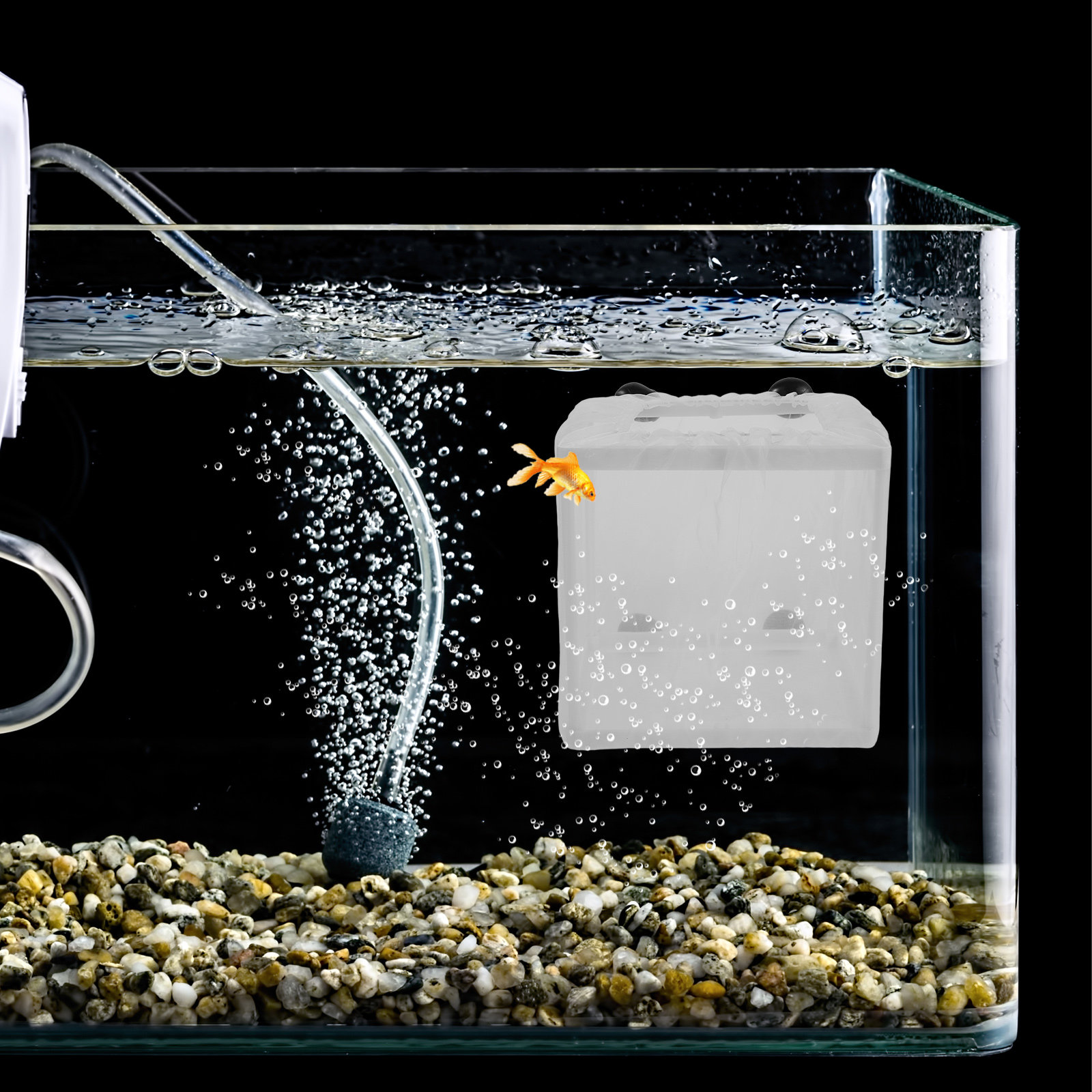 2개입 물고기 번식 격리 상자 수족관 부유식 부화장 인 - Aquarium Fish Net Small 리뷰 및 가격