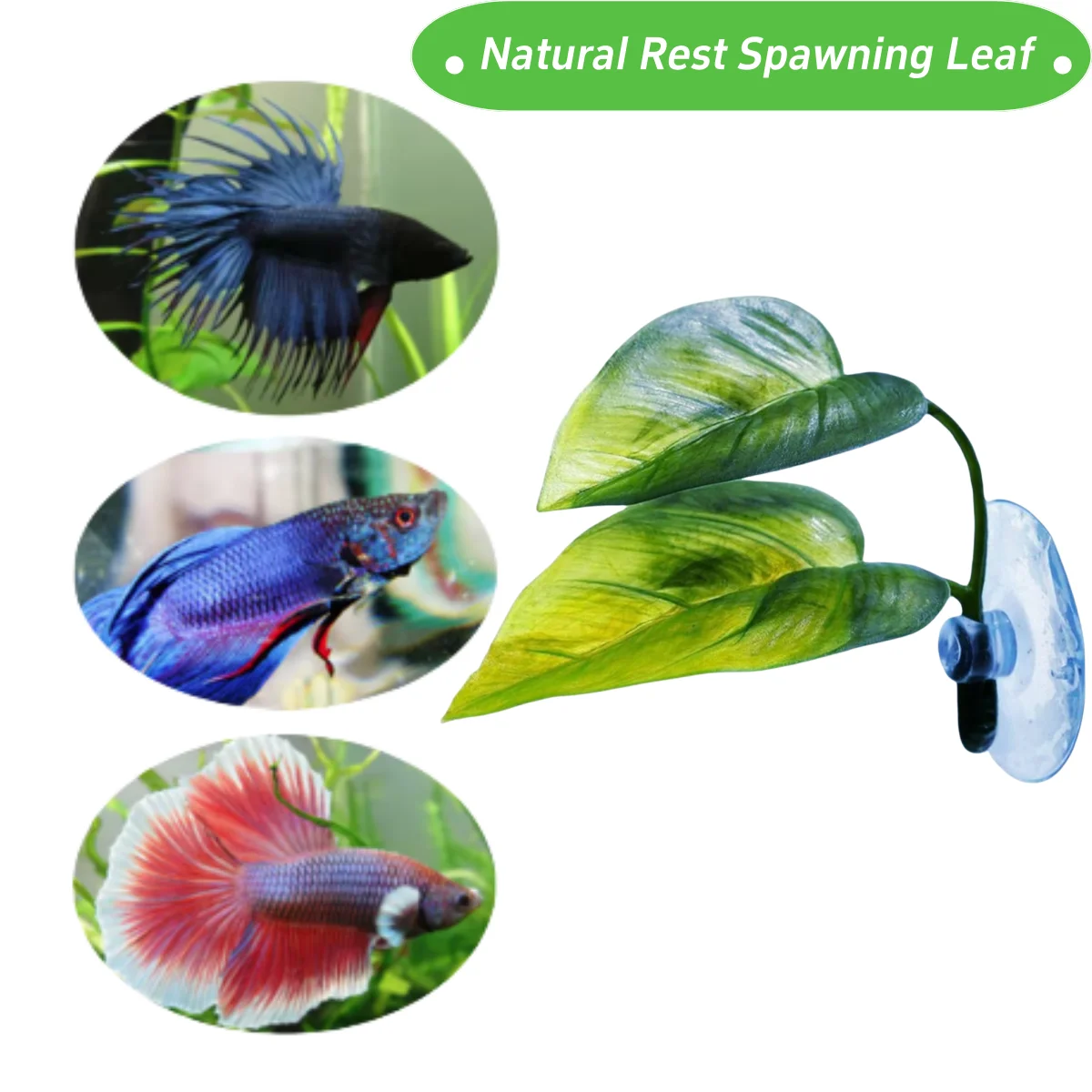 애완동물 어항 장식 베타 휴식 놀이 식물 잎 수족관 장 - Aquarium Fish Artificial 리뷰 및 가격