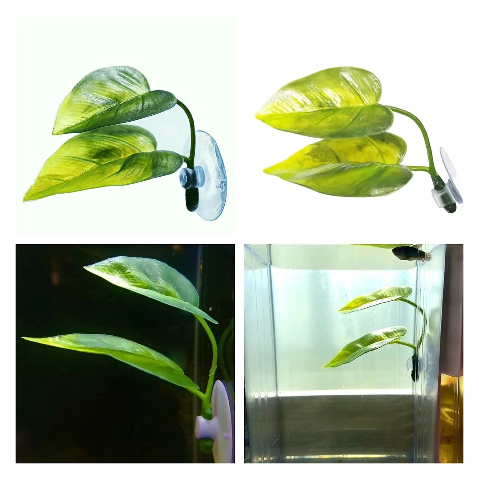 애완동물 어항 장식 베타 휴식 놀이 식물 잎 수족관 장 - Aquarium Fish Artificial 리뷰 및 가격
