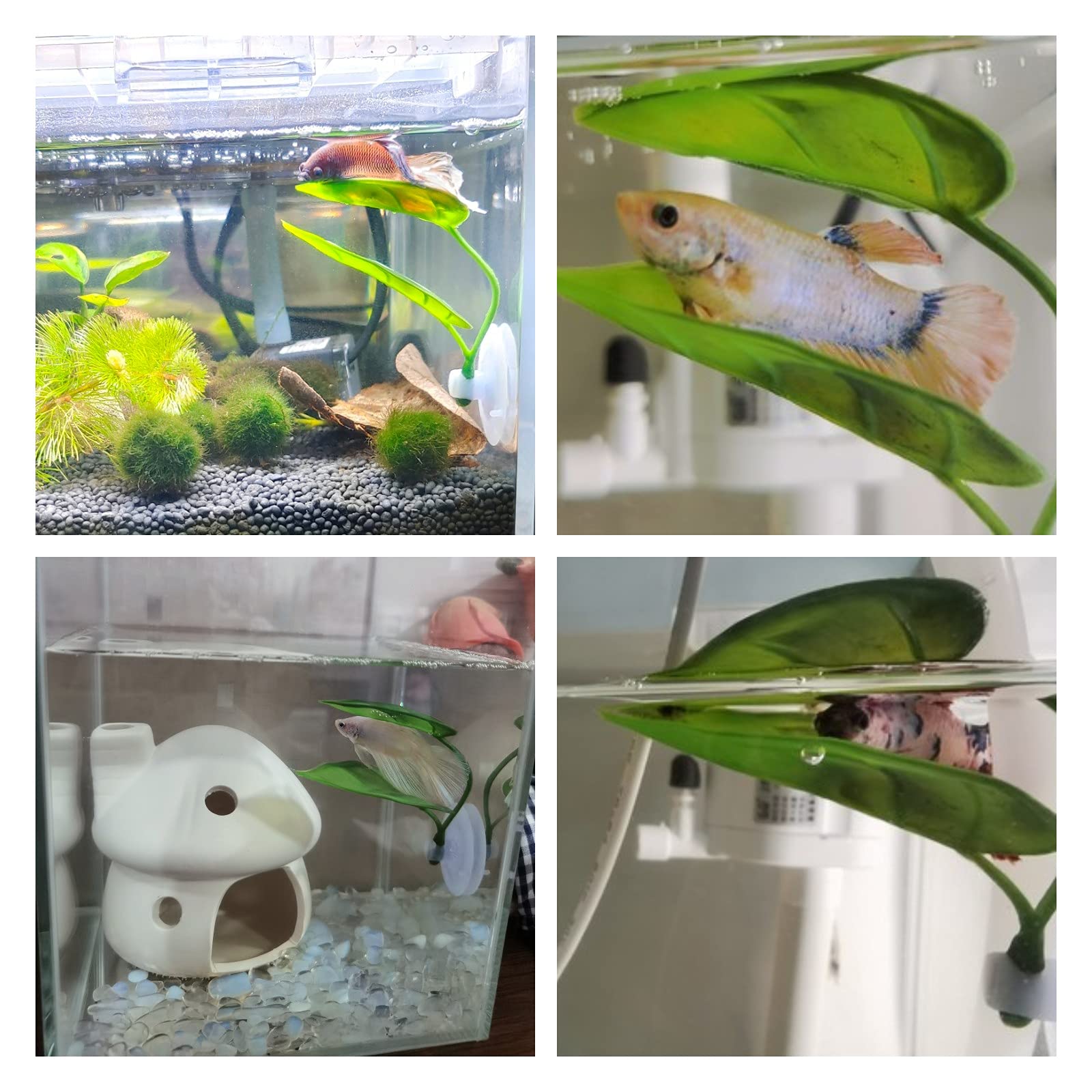 애완동물 어항 장식 베타 휴식 놀이 식물 잎 수족관 장 - Aquarium Fish Artificial 리뷰 및 가격
