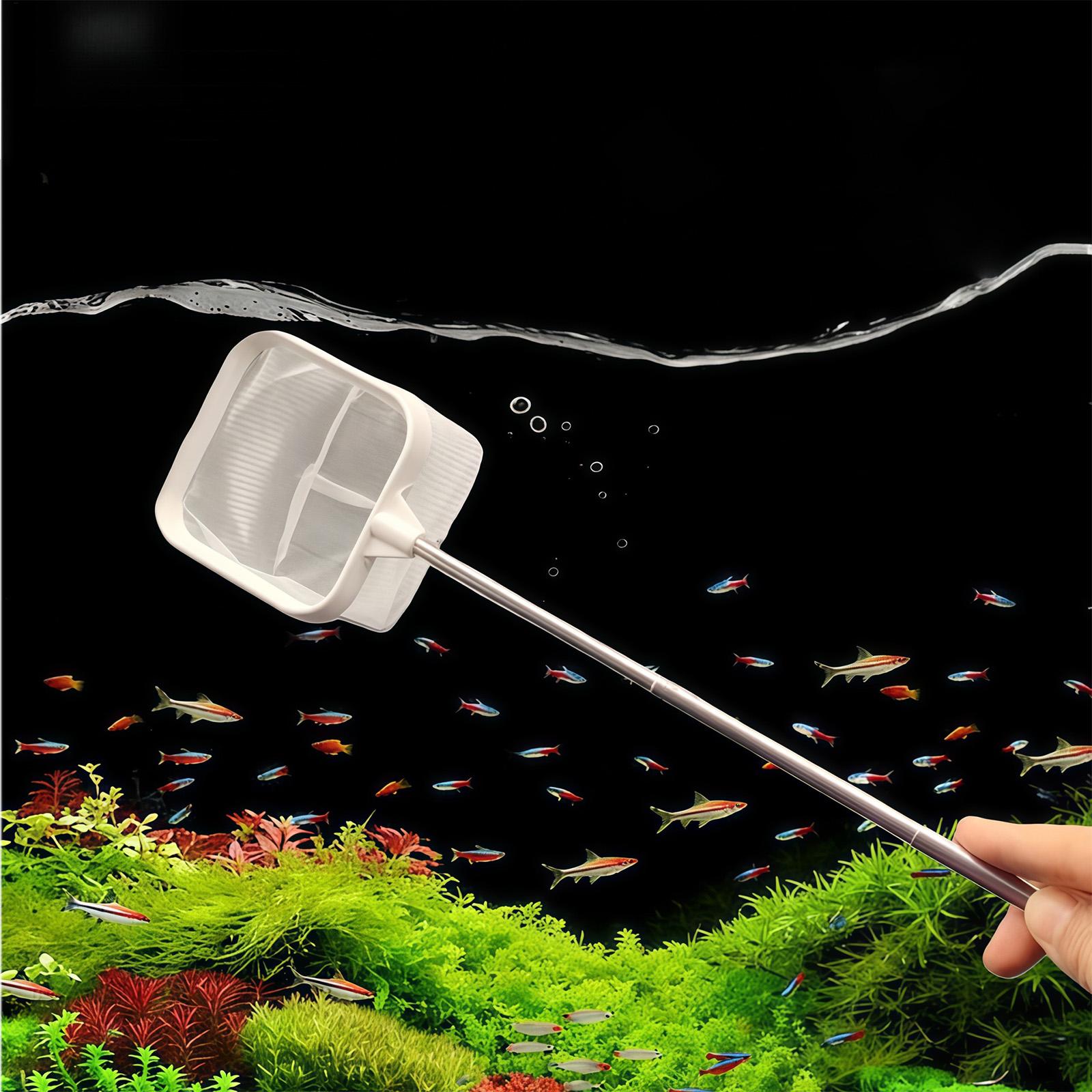 확장형 긴 손잡이 미세망 그물망 수족관 물고기 스키머  - Aquarium Fish Net Small 리뷰 및 가격