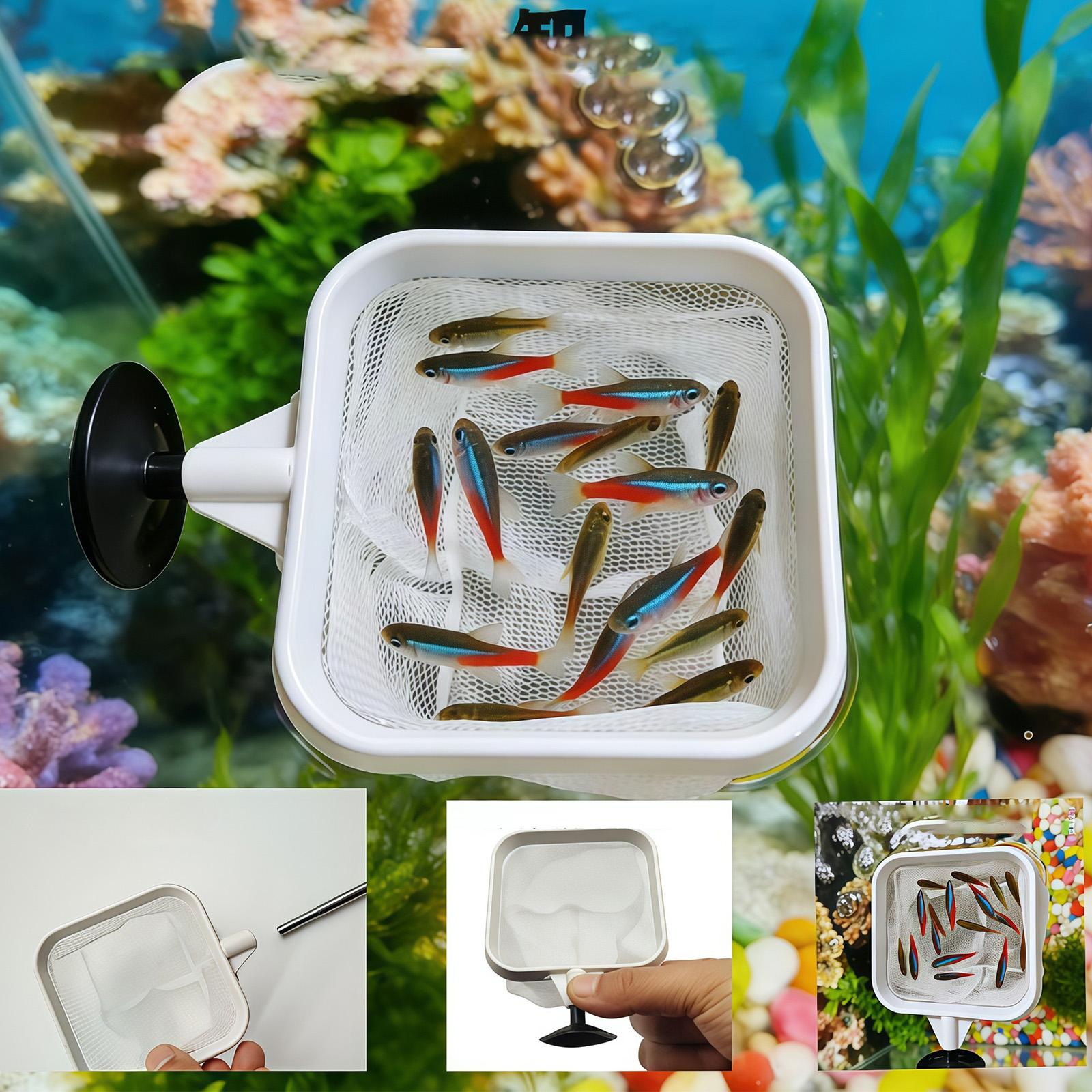확장형 긴 손잡이 미세망 그물망 수족관 물고기 스키머  - Aquarium Fish Net Small 리뷰 및 가격