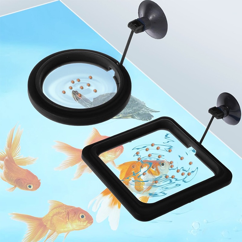 수족관 물고기 먹이 링 스테이션 플로팅 푸드 트레이 피 - Aquarium Fish Medicine 리뷰 및 가격