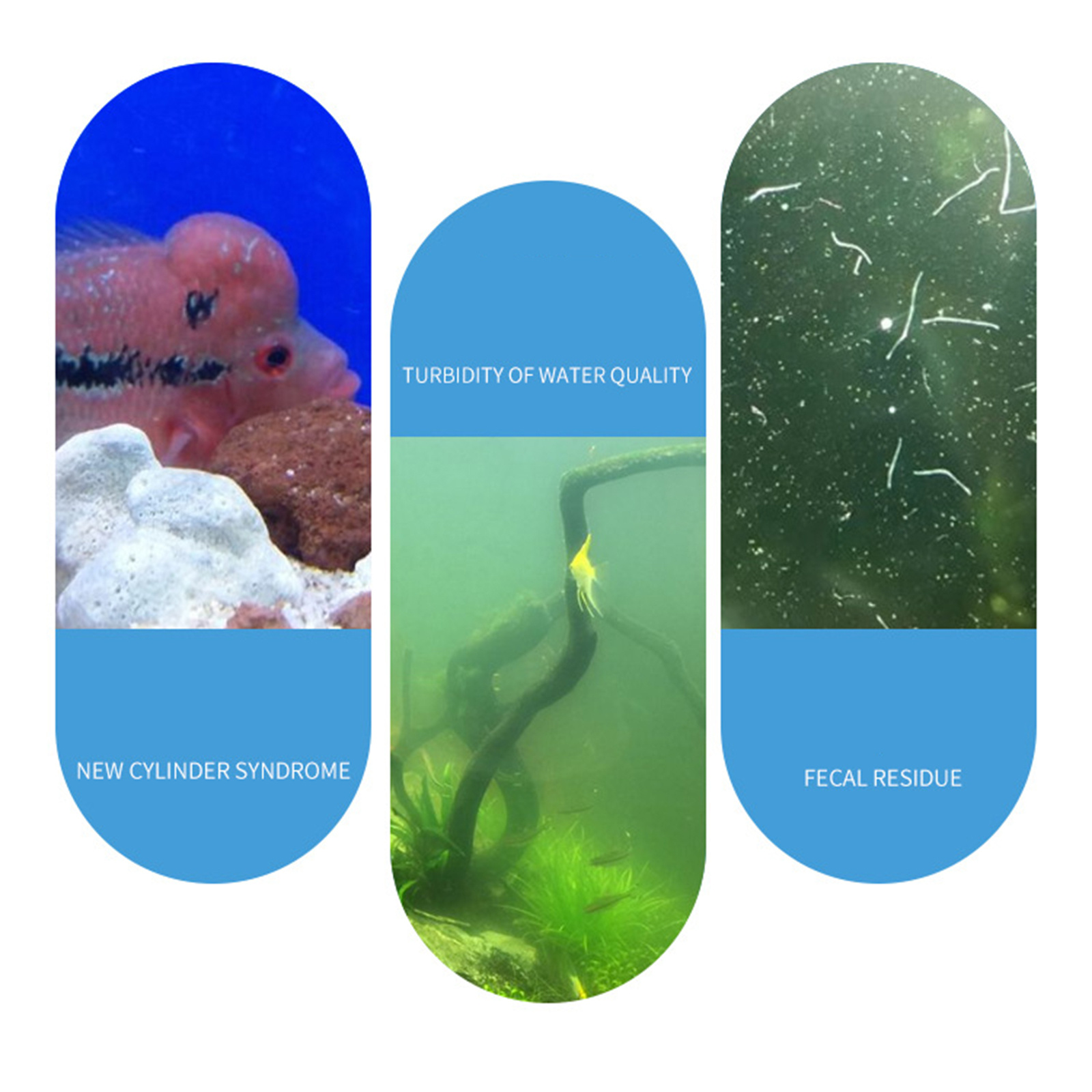 수족관 질소화 박테리아 파우더 바이오필터 스타터 파우더 - Aquarium Fish Medicine 리뷰 및 가격