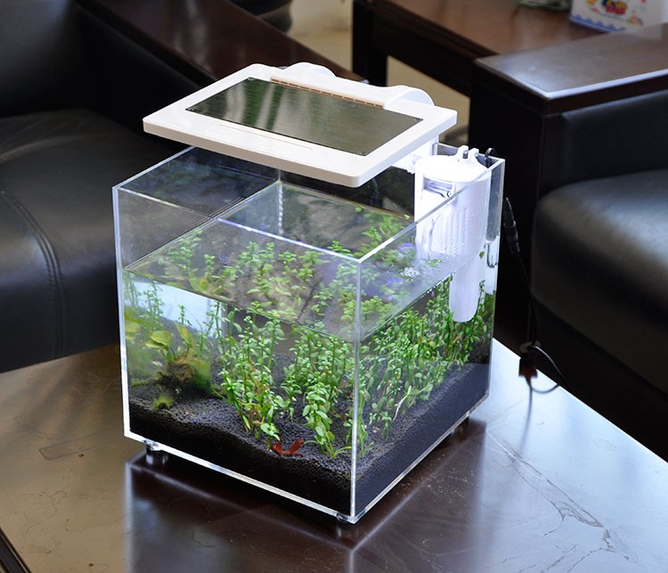 미니 아크릴 (25*25*25cm) 조명, 필터 시스템 - Aquarium Fish For Sale 리뷰 및 가격