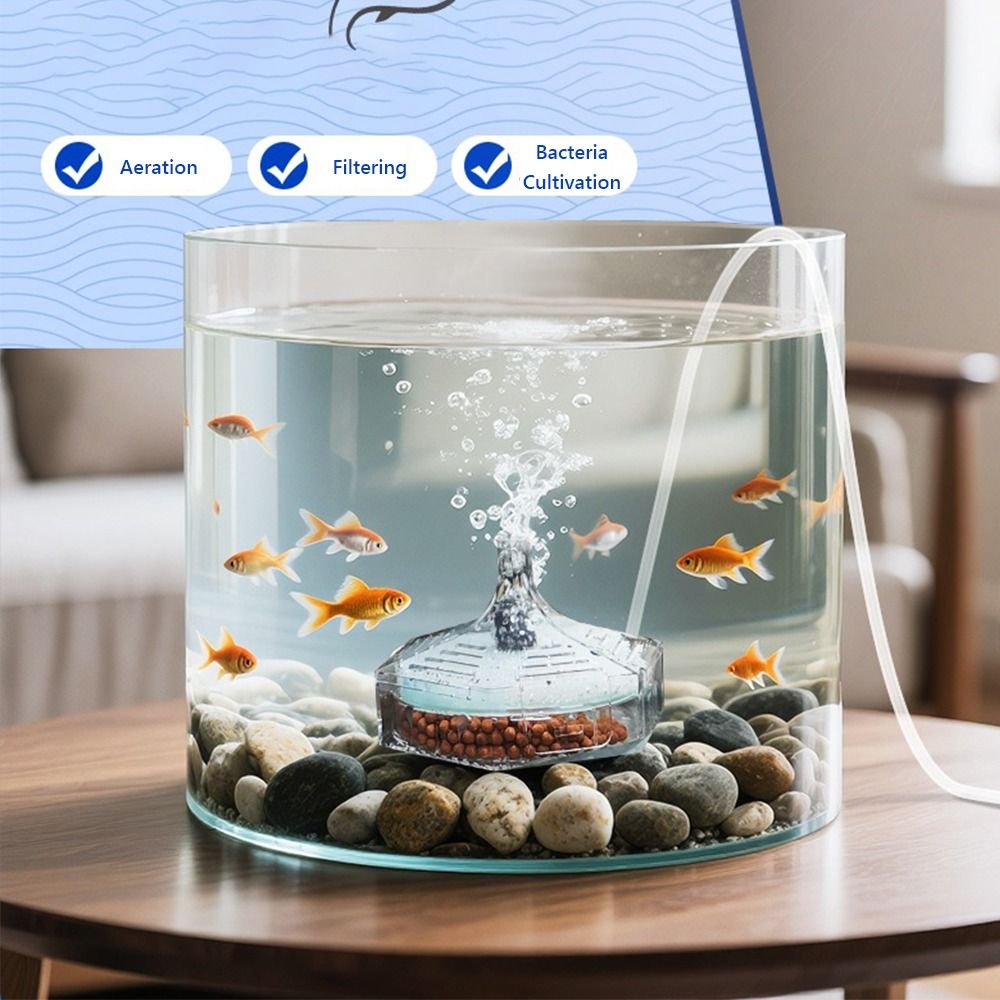 신형 휴대용 수족관 어항 필터 얇은 원형 3-in-1  - Aquarium Fish For Beginners 리뷰 및 가격