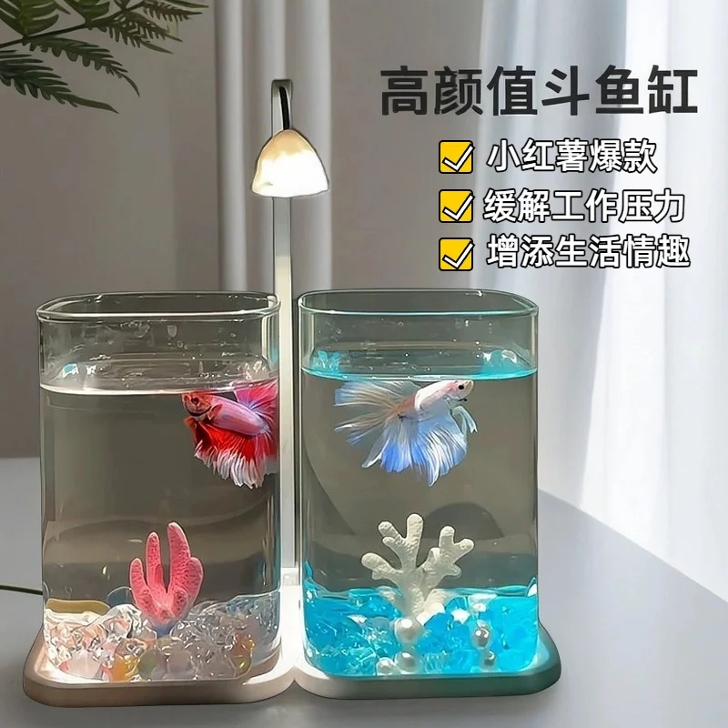 미니 베타 물고기 유리 수조 데스크탑 아쿠아리움 야간  - Aquarium Fish Betta 리뷰 및 가격
