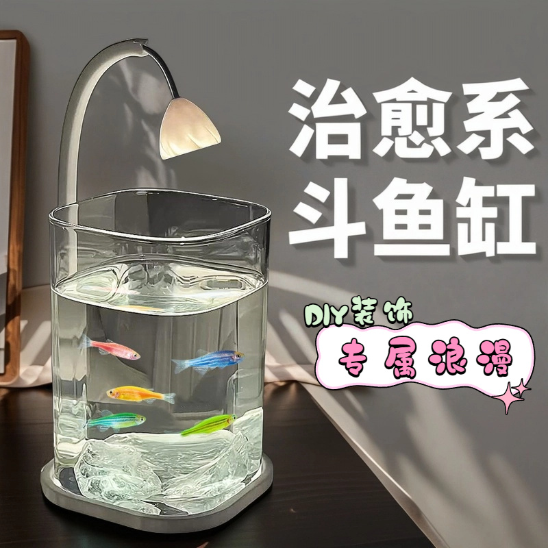 미니 베타 물고기 유리 수조 데스크탑 아쿠아리움 야간  - Aquarium Fish Betta 리뷰 및 가격